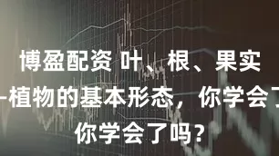 博盈配资 叶、根、果实等——植物的基本形态，你学会了吗？