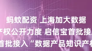 蚂蚊配资 上海加大数据产品知识产权公开力度 启信宝首批接入“数据产品知识产权”数据