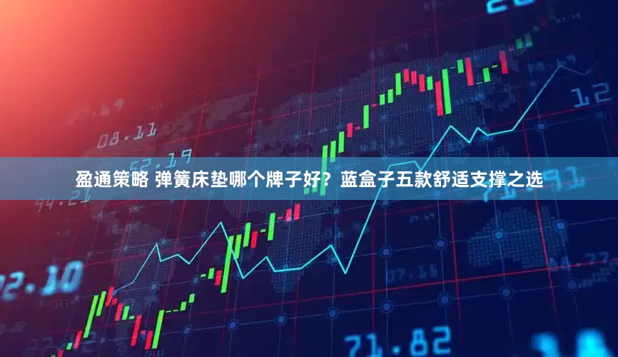 盈通策略 弹簧床垫哪个牌子好？蓝盒子五款舒适支撑之选